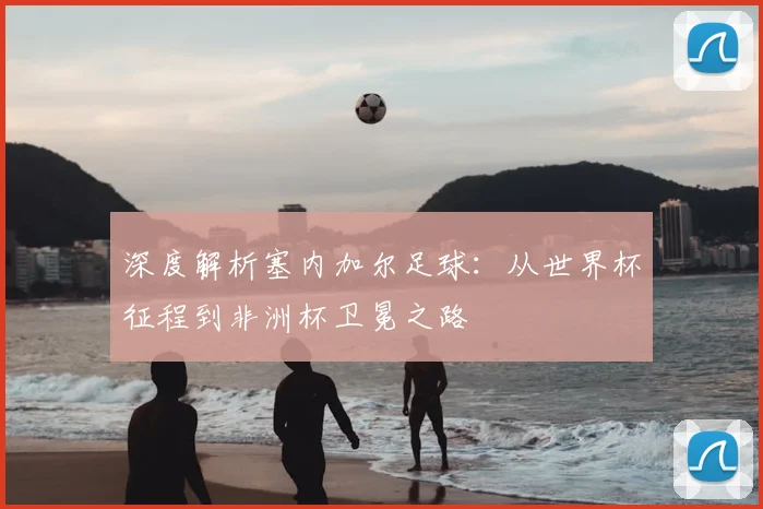 深度解析塞内加尔足球：从世界杯征程到非洲杯卫冕之路