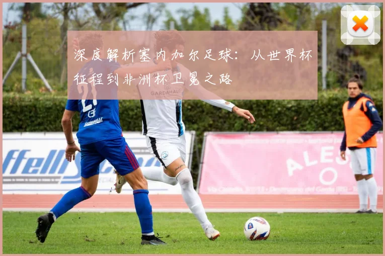 深度解析塞内加尔足球:从世界杯征程到非洲杯卫冕之路